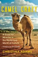 Bláznivý velbloud: Zázraky v záhadném světě velbloudů (A Quest for Miracles in the Mysterious World of Camels) - Camel Crazy: A Quest for Miracles in the Mysterious World of Camels