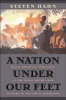 Národ pod našima nohama: Černošské politické boje na venkovském Jihu od otroctví po velkou migraci - A Nation Under Our Feet: Black Political Struggles in the Rural South from Slavery to the Great Migration