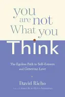 Nejste to, co si myslíte: Cesta k sebeúctě a velkorysé lásce bez vlastního já - You Are Not What You Think: The Egoless Path to Self-Esteem and Generous Love