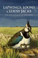Čejky, břehule a mourovatí žakové - Lapwings, Loons and Lousy Jacks