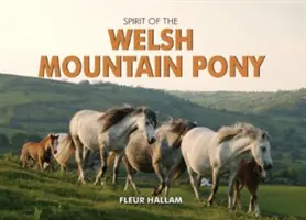 Duch velšského horského poníka - Spirit of the Welsh Mountain Pony