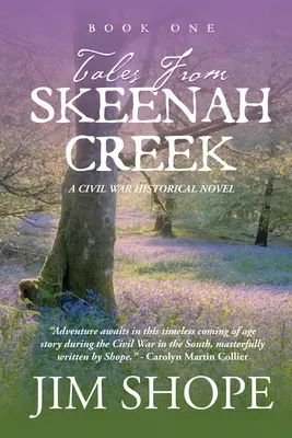 Příběhy ze Skeenah Creeku: A Civil War Historical Fiction Novel: A Civil War Historical Fiction Novel - Tales From Skeenah Creek: A Civil War Historical Fiction Novel