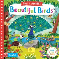 Krásní ptáci - Beautiful Birds