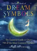 Malá kniha snových symbolů: Základní průvodce více než 700 nejběžnějšími sny - The Little Book of Dream Symbols: The Essential Guide to Over 700 of the Most Common Dreams