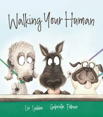 Procházka s člověkem - Walking Your Human