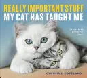 Opravdu důležité věci, které mě naučila moje kočka - Really Important Stuff My Cat Has Taught Me