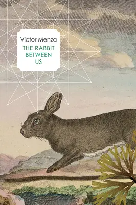 Králík mezi námi - The Rabbit Between Us