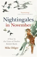 Slavíci v listopadu - Rok v životě dvanácti britských ptáků - Nightingales in November - A Year in the Lives of Twelve British Birds