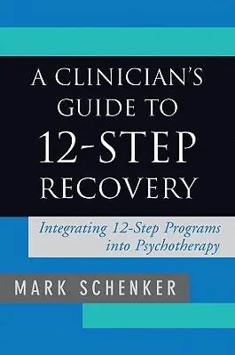 Průvodce klinického lékaře zotavením ve 12 krocích - A Clinician's Guide to 12-Step Recovery