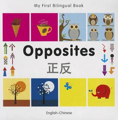Moje první dvojjazyčná knížka-Opposites (anglicko-čínská) - My First Bilingual Book-Opposites (English-Chinese)