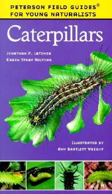 Housenky - Caterpillars