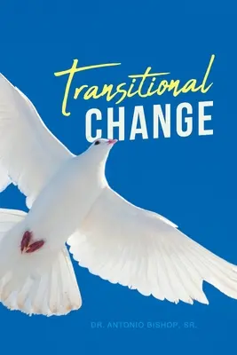 Přechodná změna - Transitional Change