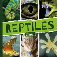 Plazi - Reptiles