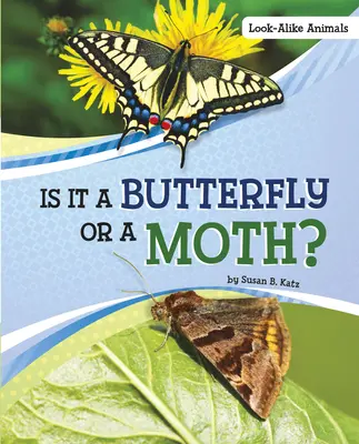 Je to motýl nebo můra? - Is It a Butterfly or a Moth?