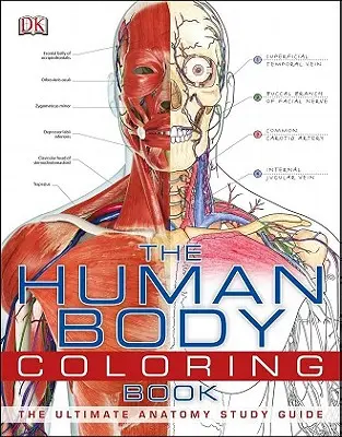 Omalovánky lidského těla: Anatomie - studijní příručka - The Human Body Coloring Book: The Ultimate Anatomy Study Guide
