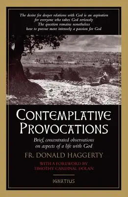 Kontemplativní provokace - Contemplative Provocations