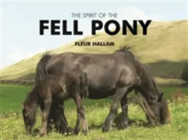 Duch padlého poníka - Spirit of the Fell Pony