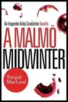 Malm uprostřed zimy: Záhada inspektorky Anity Sundstrmové - A Malm Midwinter: An Inspector Anita Sundstrm Mystery