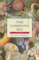 Světelné moře - The Luminous Sea