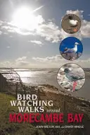 Procházky za ptáky v okolí Morecambe Bay - Birdwatching Walks Around Morecambe Bay