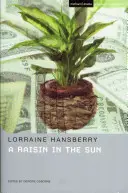 Rozinky na slunci - Raisin In The Sun