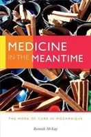 Medicína v mezidobí: The Work of Care in Mozambique - Medicine in the Meantime: The Work of Care in Mozambique