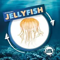 Medúzy - Jellyfish