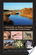 Terénní průvodce rostlinami a živočichy středního Rio Grande Bosque - A Field Guide to the Plants and Animals of the Middle Rio Grande Bosque