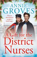 Dárek pro okresní sestry (Okresní sestry, kniha 4) - A Gift for the District Nurses (the District Nurses, Book 4)