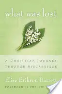 Co bylo ztraceno: Křesťanská cesta potratem - What Was Lost: A Christian Journey Through Miscarriage
