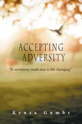 Přijímání nepřízně osudu - Accepting Adversity
