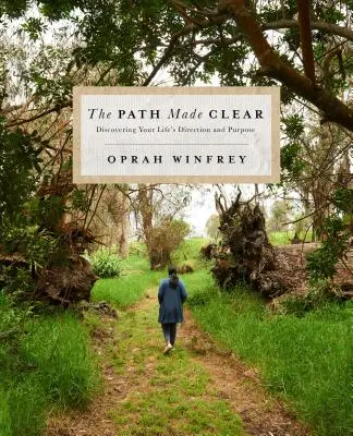 Ujasněná cesta: Objevování životního směru a cíle svého života (The Path Made Clear: Discovering Your Life's Direction and Purpose) - The Path Made Clear: Discovering Your Life's Direction and Purpose