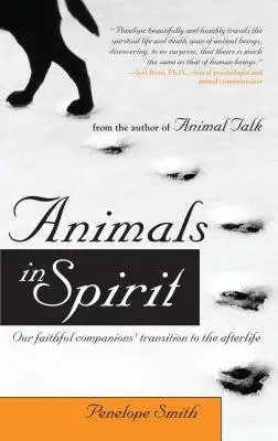 Zvířata v duchu: Přechod našich věrných společníků do posmrtného života - Animals in Spirit: Our Faithful Companions' Transition to the Afterlife