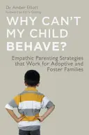Proč se moje dítě neumí chovat?: Empatické rodičovské strategie, které fungují v adoptivních a pěstounských rodinách. - Why Can't My Child Behave?: Empathic Parenting Strategies That Work for Adoptive and Foster Families