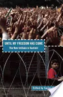 Dokud nepřijde má svoboda: Nová intifáda v Kašmíru - Until My Freedom Has Come: The New Intifada in Kashmir