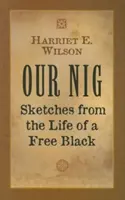 Náš Nig: Črty ze života svobodného černocha - Our Nig: Sketches from the Life of a Free Black