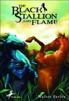 Černý hřebec a plamen - The Black Stallion and Flame