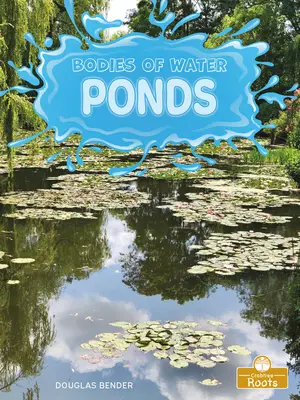 Rybníky - Ponds