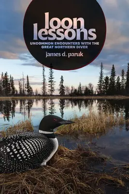 Loon Lessons: Neobvyklá setkání s velkým severním potápěčem - Loon Lessons: Uncommon Encounters with the Great Northern Diver
