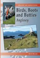 Ptáci, boty a koláčky: Anglesey - Birds, Boots and Butties: Anglesey