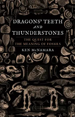 Dračí zuby a hromové kameny: Pátrání po významu zkamenělin - Dragons' Teeth and Thunderstones: The Quest for the Meaning of Fossils