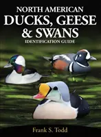 Severoamerické kachny, husy a labutě - Průvodce určováním - North American Ducks, Geese and Swans - Identification Guide