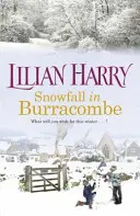 Sněžení v Burracombe - Snowfall in Burracombe