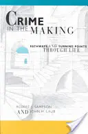Zločin ve stádiu vzniku P - Crime in the Making P