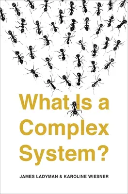 Co je to komplexní systém? - What Is a Complex System?