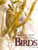 Kreslení a malování ptáků - Drawing and Painting Birds