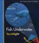 Ryby pod vodou - Fish Underwater