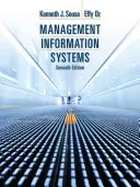 Manažerské informační systémy - Management Information Systems