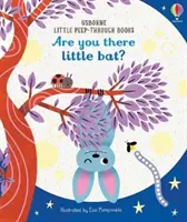 Jsi tam, netopýrku? - Are You There Little Bat?