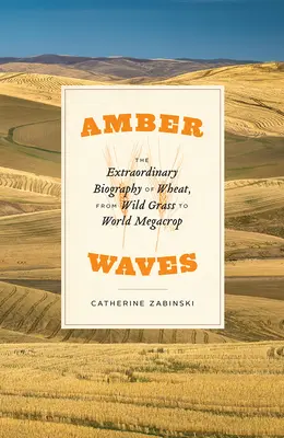 Jantarové vlny: Vlny vln: Neobyčejný životopis pšenice od divoké trávy po světovou megaprodukci - Amber Waves: The Extraordinary Biography of Wheat, from Wild Grass to World Megacrop